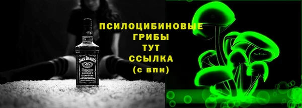 ПСИЛОЦИБИНОВЫЕ ГРИБЫ Баксан